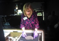 Curator at Bute Museum